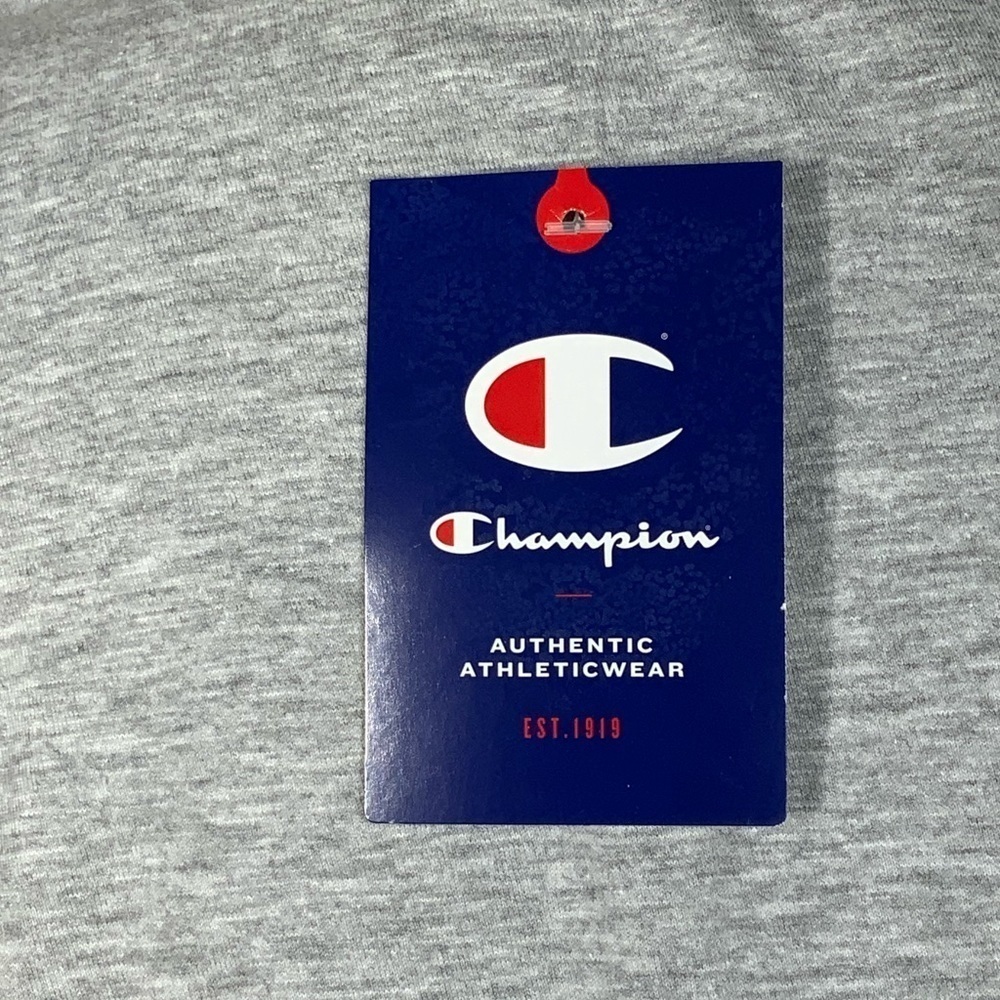 Champion Tee Shirt Graphic Logo Short Sleeve Crew Neck Boxy Grey Women’s Plus 2X - Picture 13 of 16